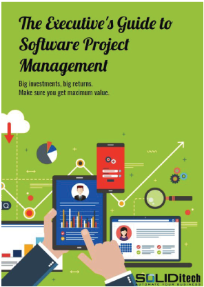Executives-Guide-to-Software-Project-Management---THUMBNAIL