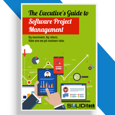 Executives-Guide-to-Software-Project-Management-eBook-Cover